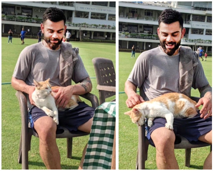 फुर्सत के पलों में विराट कोहली ने अभ्यास के दौरान बिल्ली के साथ खींचा फोटो - Virat Kohli posts a pic with a cat during practice session