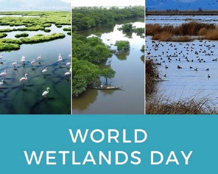 जानिए क्यों मनाया जाता है विश्‍व आर्द्रभूमि दिवस ( World Wetland Day), जानें इतिहास और फायदे - what celebrate world wetlands day history and its significance