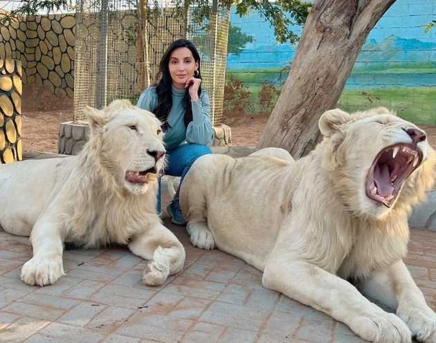 शेरों के साथ नोरा फतेही ने दिए पोज, तस्वीरें शेयर करके कही यह बात - nora fatehi poses with lions photos viral