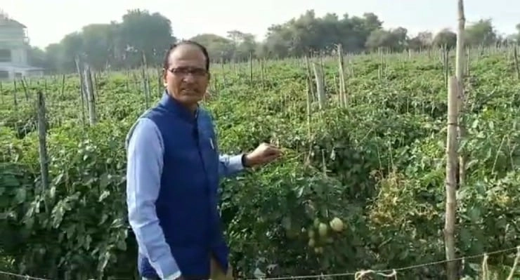 मध्यप्रदेश में 11 लाख से अधिक डिफॉल्टर किसानों का 2 हजार 123 करोड़ रुपए का ब्याज माफ करेगी शिवराज सरकार - Shivraj government will waive the interest of more than 11 lakh defaulter farmers in Madhya Pradesh