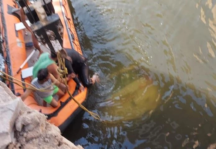 राजस्थान में चंबल नदी में गिरी कार, दूल्हे सहित 9 लोगों की मौत