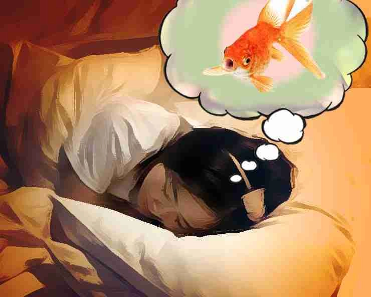 fish dream
