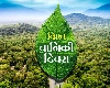 International Day of Forests 2023: भारतीय वन के ये 10 रोचक तथ्य जानकर रह जाएंगे हैरान