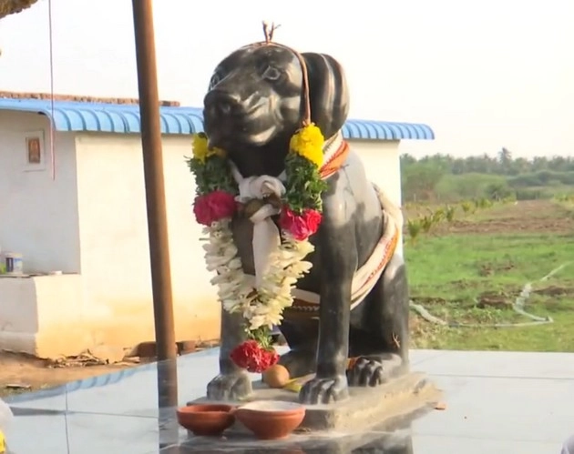 तमिलनाडु में पालतू कुत्ते की याद में बनवा दी मूर्ति, अब मंदिर बनाने की तैयारी - statue erected in memory of pet dog in Tamil Nadu