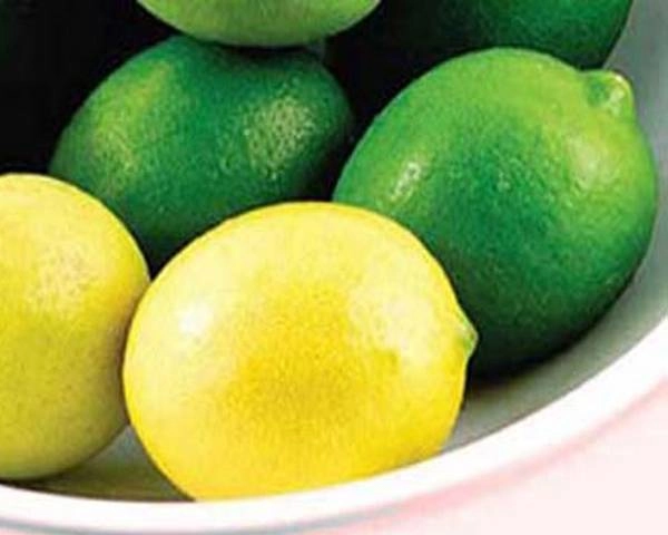 महंगाई से त्रस्त लोगों को अब नींबू ने 'निचोड़ा', 300 रुपए किलो के पार पहुंचे दाम - Now lemon is also expensive
