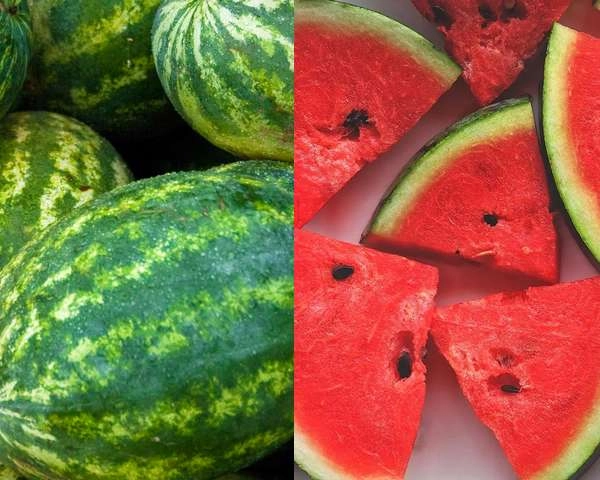 रमजान में प्रतिदिन 5 करोड़ रुपए के तरबूज खा रहे हैं कश्मीरी - Kashmiris are eating watermelon worth Rs 5 crore every day in Ramadan