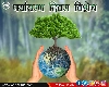 पर्यावरण दिवस विशेष : धरती भी हमें एक ही बार मिली है...पढ़ें जानीमानी कथाकार सुधा अरोड़ा की कलम से