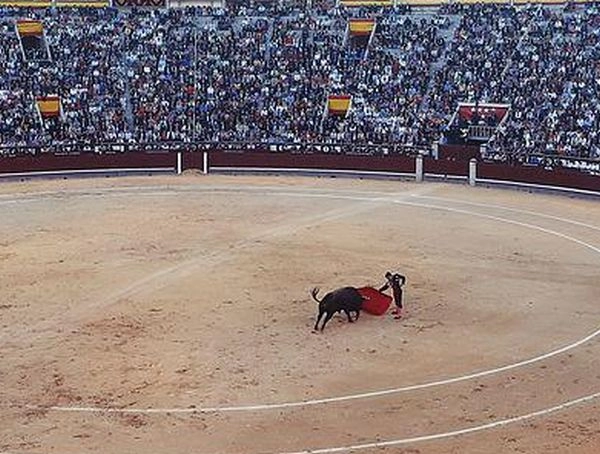 बुल-फाइट के दौरान स्टेडियम की छत ढही : 4 की मौत, 100 से ज्यादा घायल - Four killed after stand collapses during Colombia bullfight