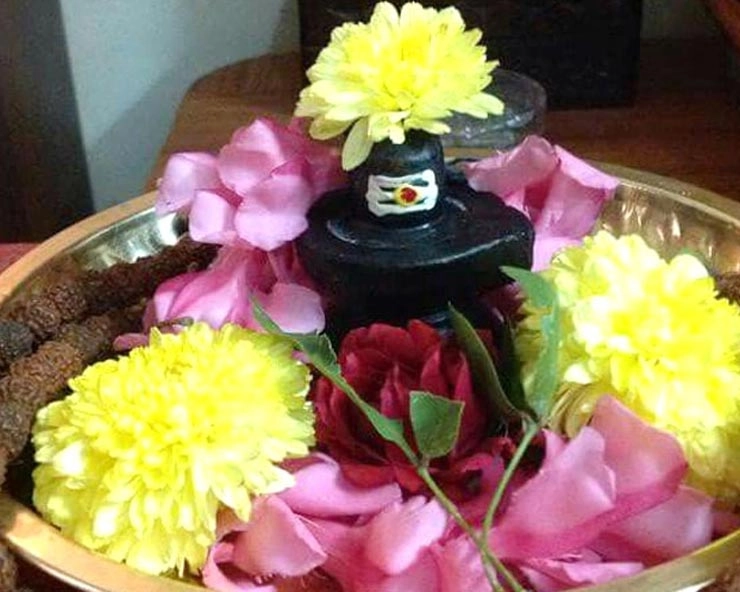 भोलेनाथ को क्यों नहीं चढ़ते हैं ये 10 प्रकार के फूल - Shiv ji ko kaun sa phool nahi chadta