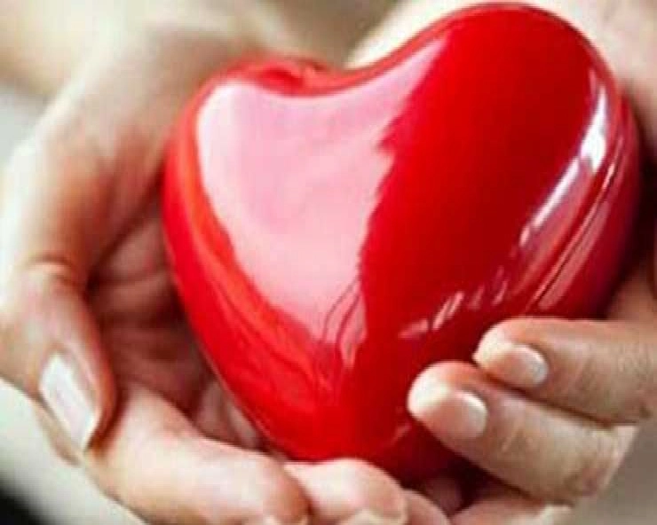 World Heart Day : પ્રેગ્નેંસી દરમિયાન આ ભૂલોને કારણે બાળકના હૃદયમાં છિદ્ર થઈ શકે છે.