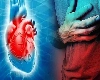 वर्ल्ड हार्ट डे 2023: विश्‍व हृदय दिवस 2023 की थीम और महत्व जानें World Heart Day