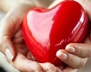 Hole in Heart: પ્રેગ્નેંસી દરમિયાન આ ભૂલોને કારણે બાળકના હૃદયમાં છિદ્ર થઈ શકે છે.