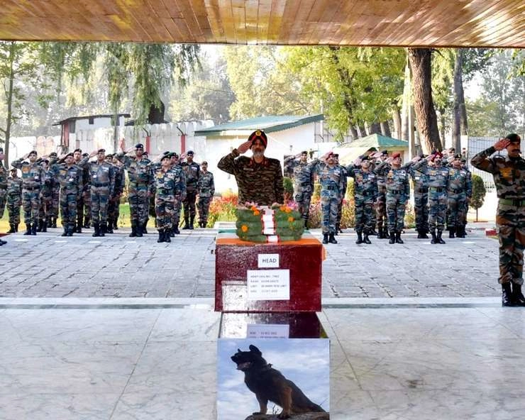 सेना के बहादुर डॉग जूम की सैन्य सम्मान के साथ अंतिम विदाई
