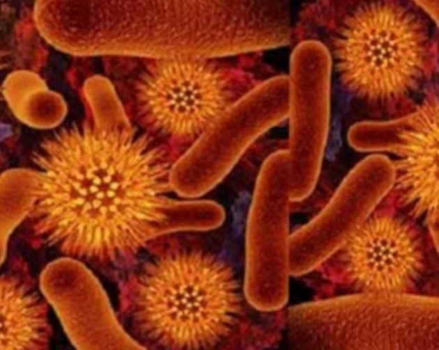 भारत में 2019 में 5 तरह के जीवाणुओं ने ली 6.8 लाख लोगों की जान, रिसर्च में हुआ बड़ा खुलासा