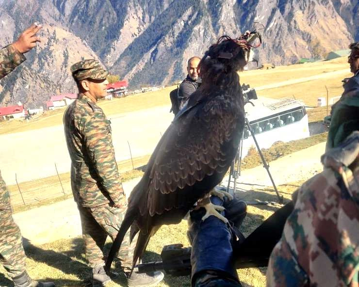 डॉग का एक इशारा ‍मिला और 'दुश्मन ड्रोन' पर झपट पड़ा कमांडो चील, जानिए क्या हैं इसकी खूबियां... - Indian Army Anti Drone Commando Kite Arjun