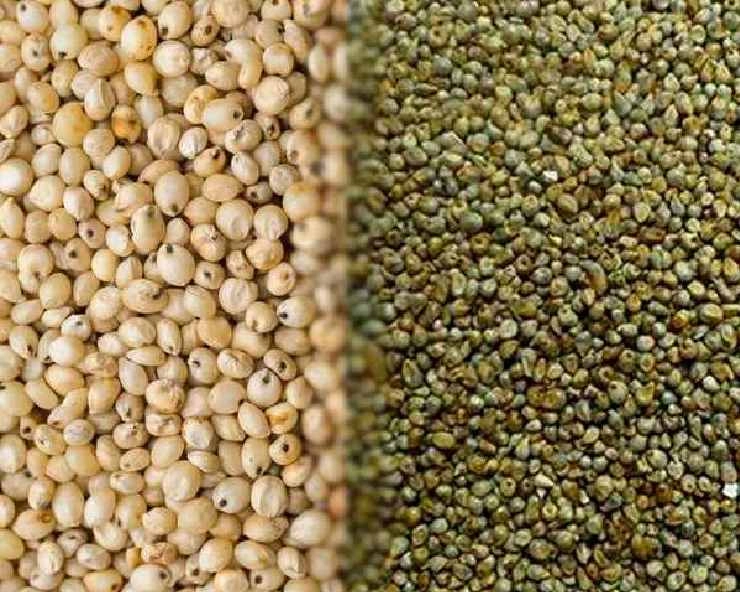 मिलेट में कौन कौन से अनाज आते हैं? - Different Types Of Millets ...