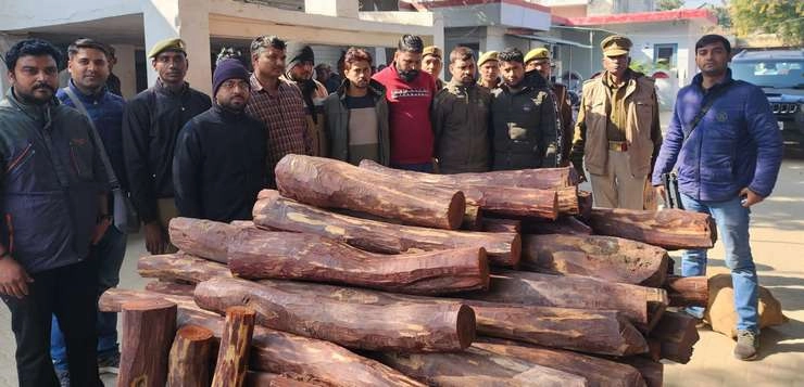 मथुरा में 7 चंदन तस्कर गिरफ्तार, पुलिस ने 1 करोड़ रुपए मूल्य की बहुमूल्य लकड़ी बरामद   की - 7 sandalwood smugglers arrested in Mathura