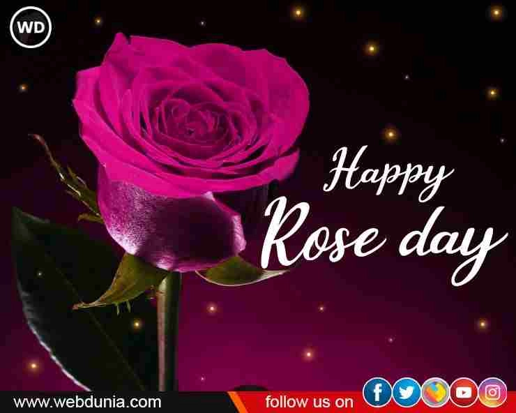 रोज डे स्पेशल : मोहब्बत के इज़हार के लिए गुलाब ही क्यों? - Rose day special