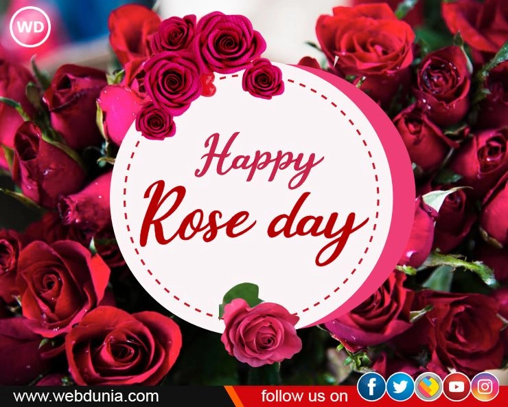 रोज डे क्यों है इतना खास - Why is rose day so special