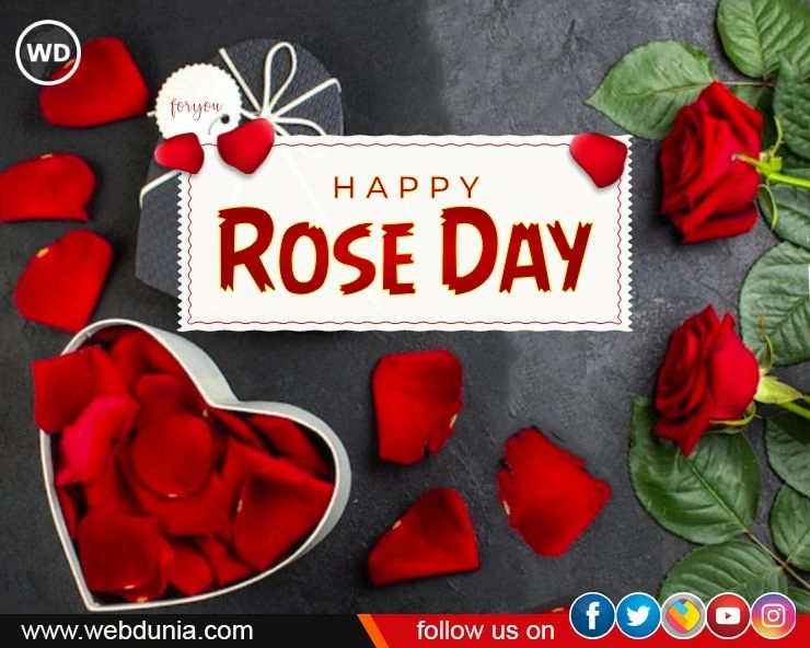 7 February Rose Day : किस गुलाब से करें प्यार का इजहार - Express love with which rose