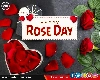 7 February Rose Day : किस गुलाब से करें प्यार का इजहार