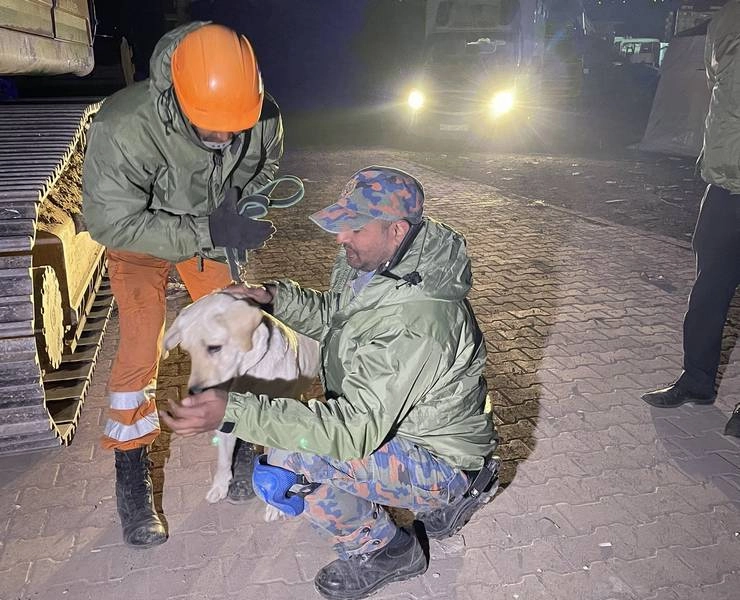 तुर्किए भूकंप : जीवित लोगों की तलाश में NDRF के 6 ट्रेंड डॉग ने मशीनों को भी पीछे छोड़ा - Turkey earthquake  NDRF Trend Dog
