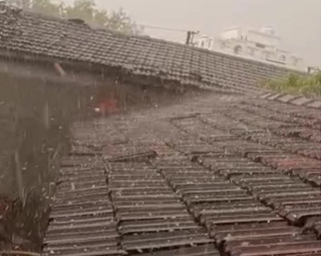 गुजरात में मौसम ने ली करवट, तेज हवा के साथ हुई बारिश, पेड़ गिरने से महिल की मौत - Rain accompanied by strong wind in Gujarat
