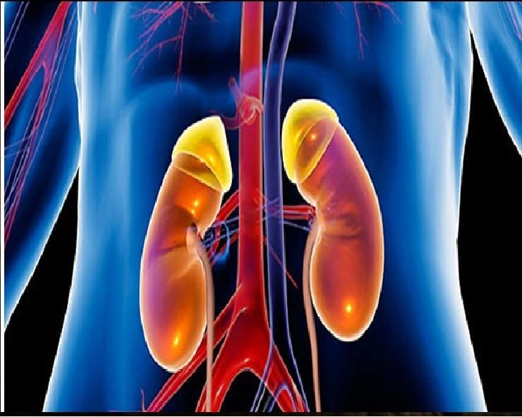 9 मार्च : विश्व किडनी दिवस, जानें किडनी खराब होने के खास लक्षण - World Kidney Day 2023