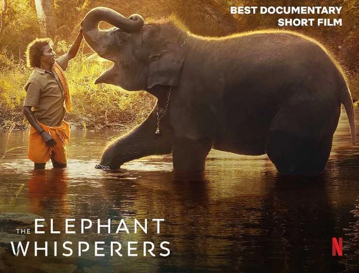 'द एलिफेंट व्हिस्परर्स' को मिले ऑस्कर अवॉर्ड को निर्देशिका कार्तिकी गोंजाल्विस ने मातृभूमि भारत को किया समर्पित | after the elephant whisperers wins Oscar kartiki gonsalves says to my motherland india