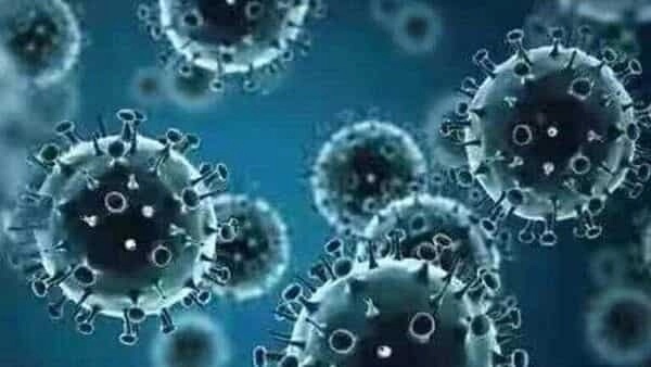 मध्यप्रदेश में खतरनाक इन्फ्लूएंजा H3N2 की दस्तक, भोपाल में मिला पहला मरीज - First case of influenza H3N2 found in Madhya Pradesh capital Bhopal