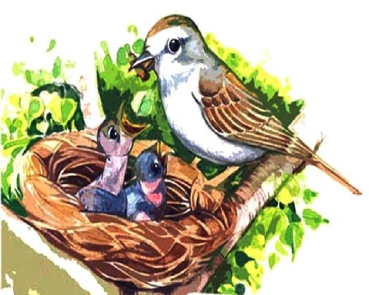 20 मार्च : विश्व गौरैया दिवस, जानें 10 रोचक तथ्य और 2024 की थीम - World Sparrow Day 2024
