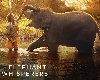 द एलिफ़ेंट व्हिस्परर्स रिव्यू : इंसान और हाथी की अद्भुत प्रेम-कविता | The Elephant Whisperers Hindi Review