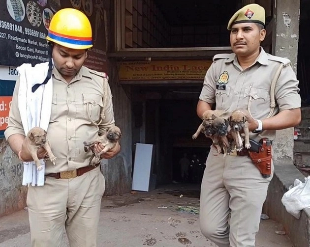 कानपुर में भीषण आग, मां की ममता देख भावुक हुए पुलिसकर्मी, बचाई 6 पिल्लों की जान