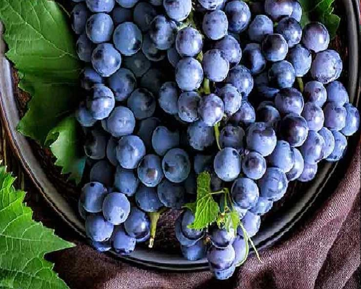 काले अंगूर के आश्चर्यजनक फायदे, खराब कोलेस्ट्रोल को करेगा खत्म - Benefits of eating black grapes