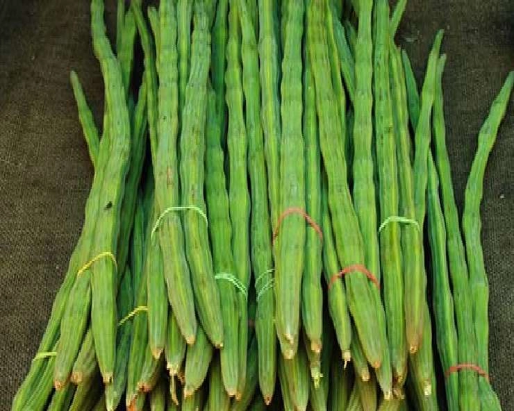 इस सीजन में सहजन/मोरिंगा खाने से मिलते हैं खूब फायदे - Health benefits of moringa