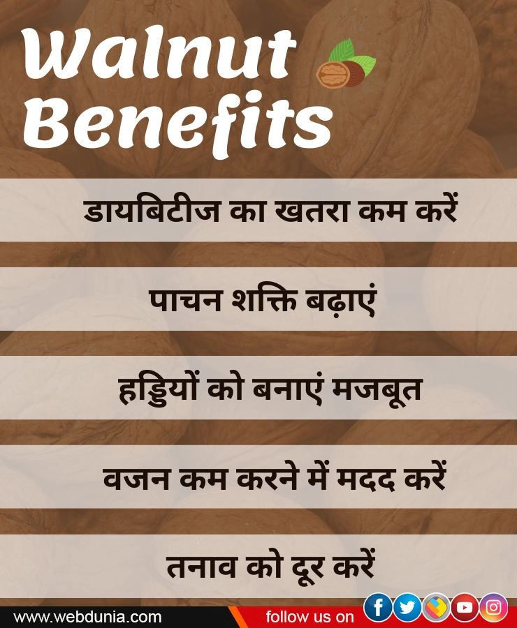 Walnut Benefits in Hindi
