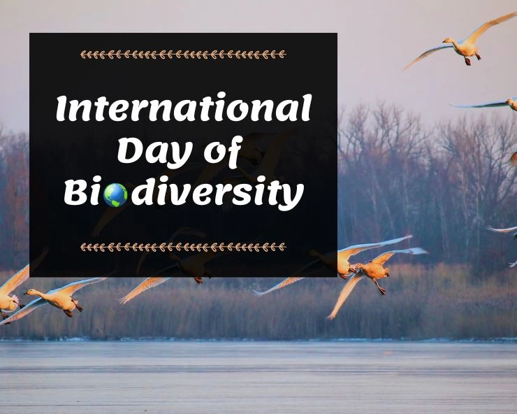 International Day of Biodiversity 2023