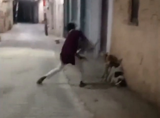 वायरल हुआ शाहजहांपुर में कुत्तों की पिटाई का वीडियो, आरोपी गिरफ्तार - Video of beating of dogs in Shahjahanpur went viral