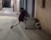 वायरल हुआ शाहजहांपुर में कुत्तों की पिटाई का वीडियो, आरोपी गिरफ्तार