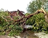 Indore: इंदौर में आधी रात को चली तेज आंधी, कई पेड़ गिरे, बिजली भी गुल