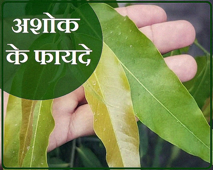 ashoka Tree Benefits