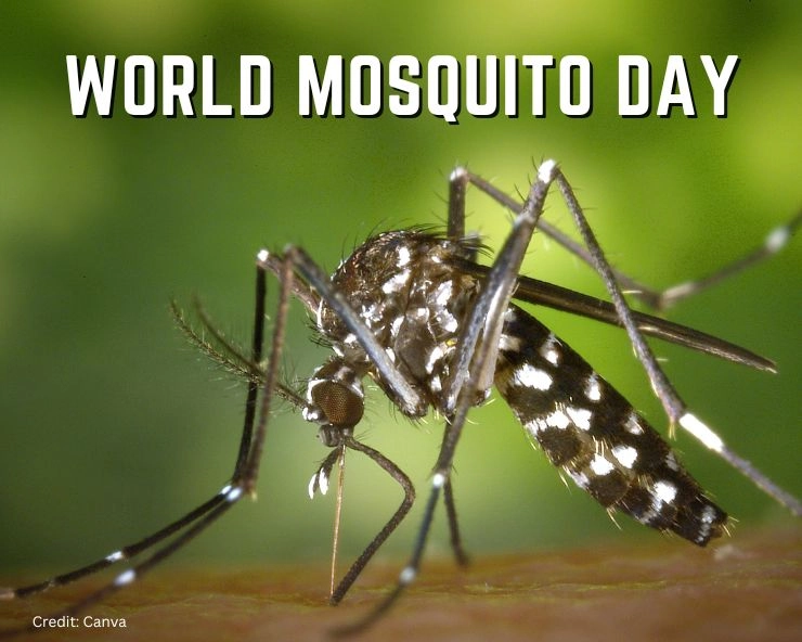 world mosquito day 2023