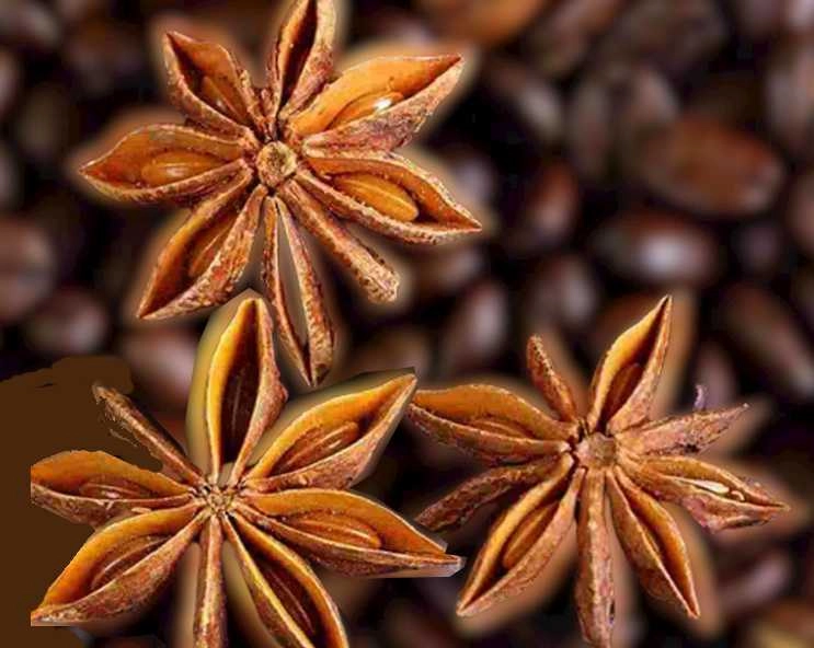 Health Tips : चक्र फूल खाने से क्या होता है, जानिए बेहतरीन फायदे - Benefits of eating star anise