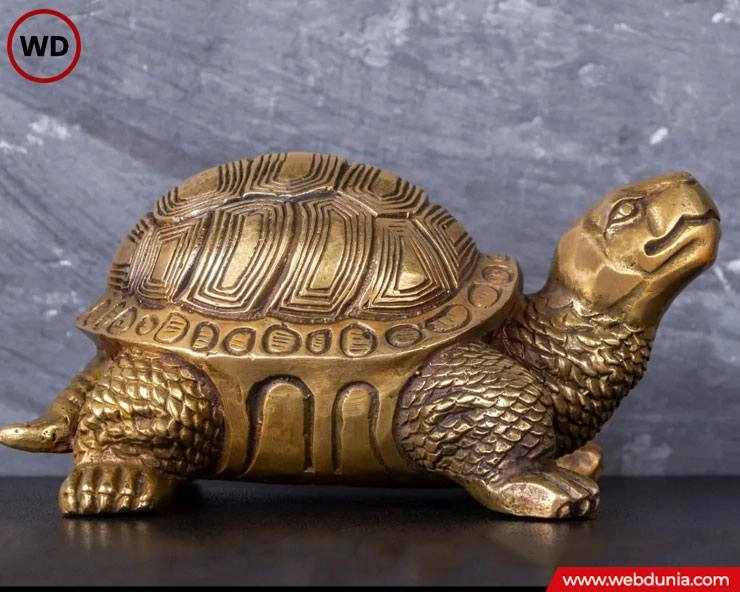 घर में कछुए की मूर्ति रखने से क्या होगा? - What will happen if you keep a turtle idol in the house