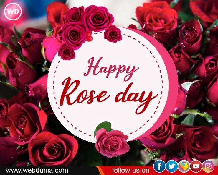 Rose Day से ही क्यों होती है वैलेंटाइन डे की शुरुआत? - Rose Day