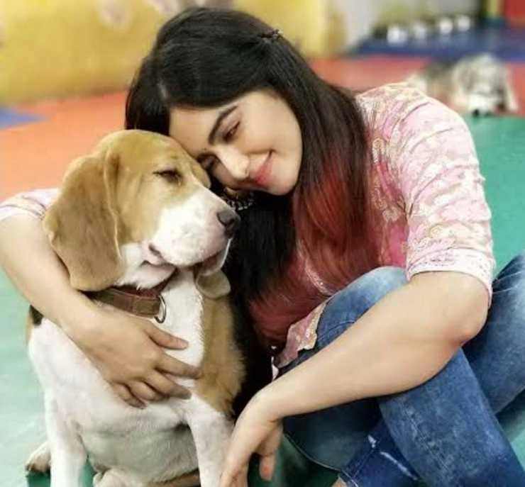 Adah Sharma joins hands with Animal Hospital on the occasion of Valentines Day - Adah Sharma joins hands with Animal Hospital on the occasion of Valentines Day