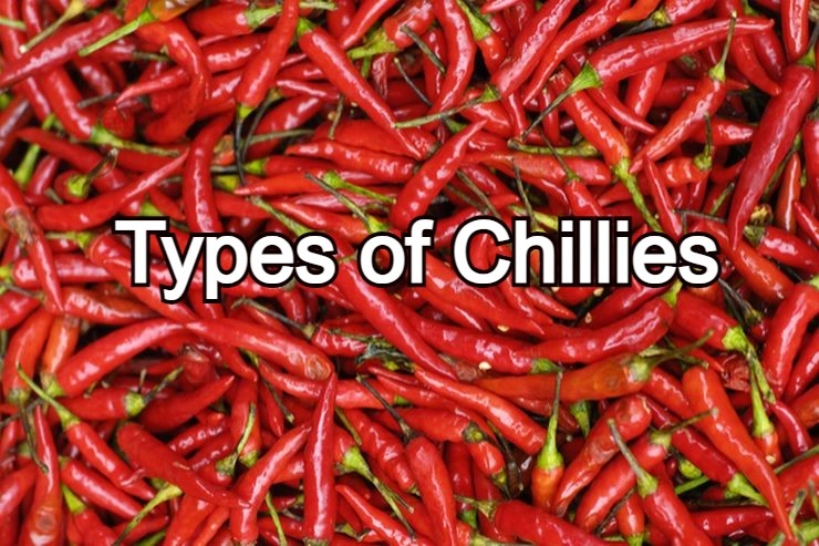 Types of Chillies