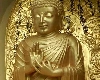 भारत से थाईलैंड पहुंचे भगवान बुद्ध के अवशेष, 1 लाख से ज्यादा श्रद्धालुओं ने किए दर्शन