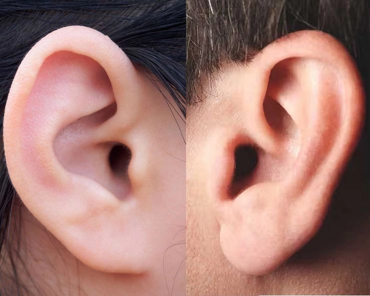 Astrology : आपके कान के आकार बताएंगे आपका चरित्र और भविष्य - Shape of your ear reveals Personality
