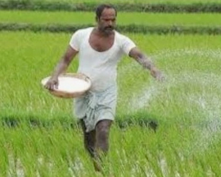 किसानों को केंद्र सरकार का तोहफा, P&K उर्वरकों पर सब्सिडी को दी मंजूरी - Subsidy of Rs 24420 crore approved on P&K fertilizers